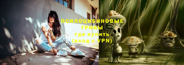 герыч Алексин