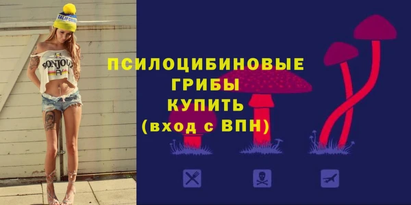 твердый Алексеевка